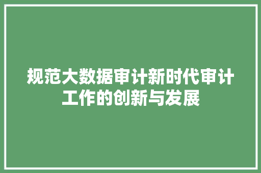 规范大数据审计新时代审计工作的创新与发展  第1张