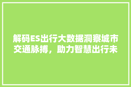 解码ES出行大数据洞察城市交通脉搏，助力智慧出行未来  第1张