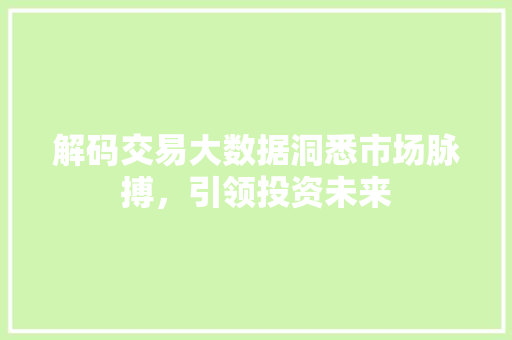解码交易大数据洞悉市场脉搏，引领投资未来