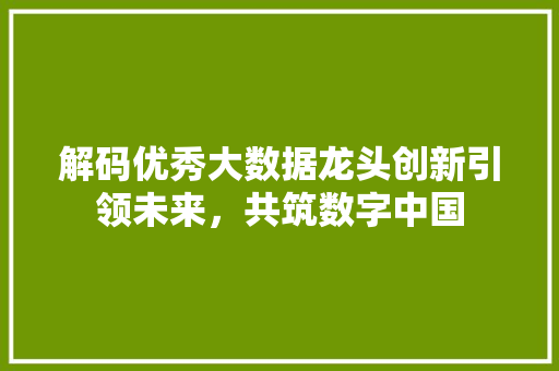 解码优秀大数据龙头创新引领未来，共筑数字中国  第1张