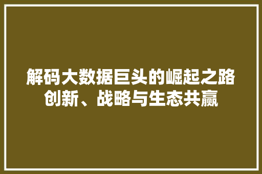 解码大数据巨头的崛起之路创新、战略与生态共赢