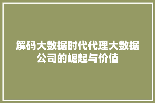 解码大数据时代代理大数据公司的崛起与价值