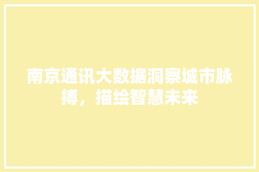 南京通讯大数据洞察城市脉搏，描绘智慧未来