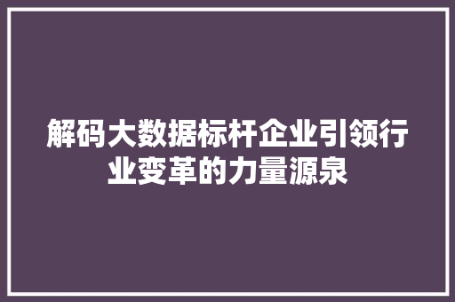 解码大数据标杆企业引领行业变革的力量源泉