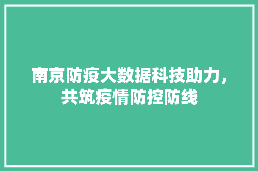 南京防疫大数据科技助力，共筑疫情防控防线  第1张