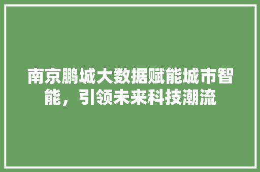 南京鹏城大数据赋能城市智能，引领未来科技潮流