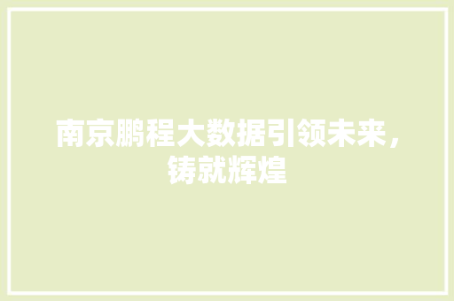 南京鹏程大数据引领未来，铸就辉煌