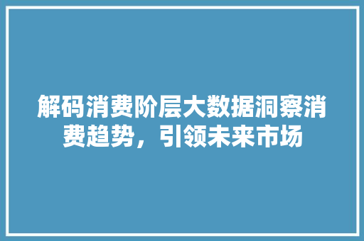 解码消费阶层大数据洞察消费趋势，引领未来市场
