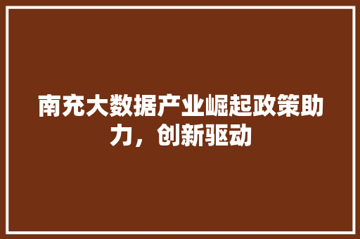 南充大数据产业崛起政策助力，创新驱动
