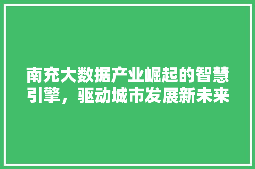 南充大数据产业崛起的智慧引擎，驱动城市发展新未来