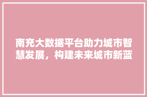 南充大数据平台助力城市智慧发展，构建未来城市新蓝图