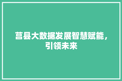莒县大数据发展智慧赋能，引领未来