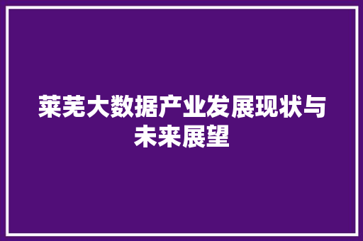 莱芜大数据产业发展现状与未来展望