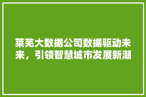 莱芜大数据公司数据驱动未来，引领智慧城市发展新潮流