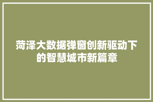 菏泽大数据弹窗创新驱动下的智慧城市新篇章  第1张