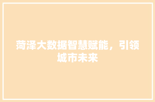 菏泽大数据智慧赋能，引领城市未来  第1张