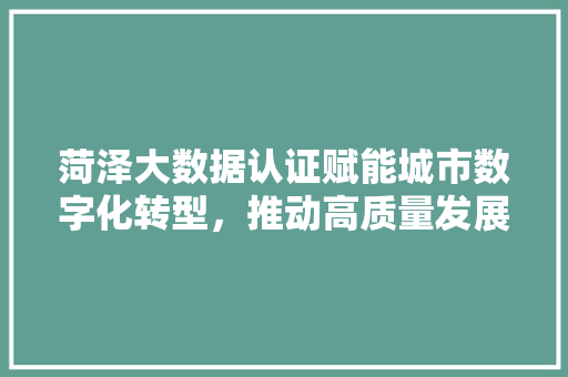 菏泽大数据认证赋能城市数字化转型，推动高质量发展
