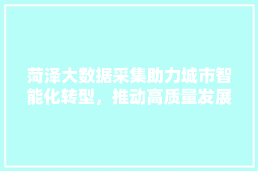 菏泽大数据采集助力城市智能化转型，推动高质量发展