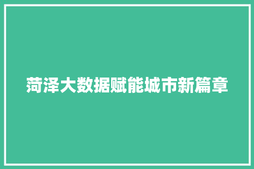 菏泽大数据赋能城市新篇章  第1张