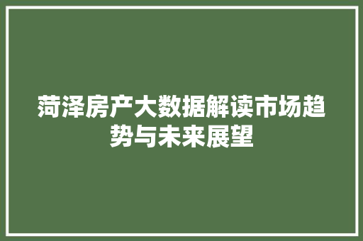 菏泽房产大数据解读市场趋势与未来展望  第1张