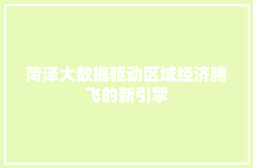 菏泽大数据驱动区域经济腾飞的新引擎