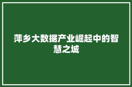 萍乡大数据产业崛起中的智慧之城