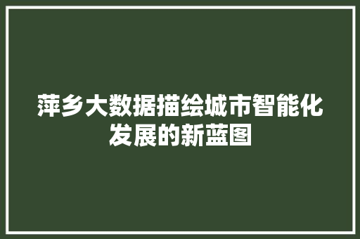 萍乡大数据描绘城市智能化发展的新蓝图