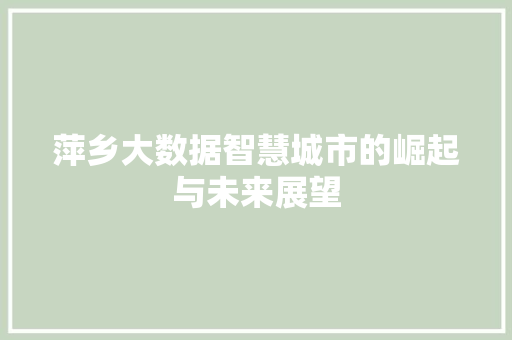 萍乡大数据智慧城市的崛起与未来展望