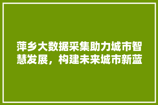 萍乡大数据采集助力城市智慧发展，构建未来城市新蓝图
