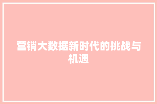 营销大数据新时代的挑战与机遇  第1张