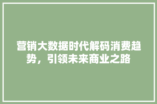 营销大数据时代解码消费趋势，引领未来商业之路
