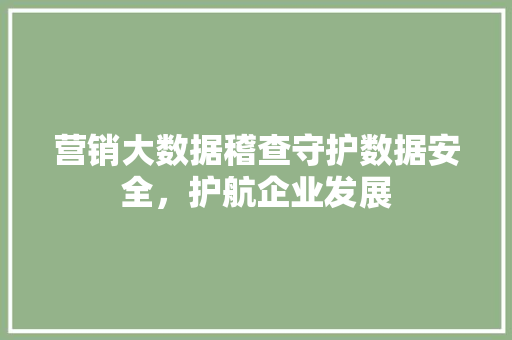 营销大数据稽查守护数据安全，护航企业发展