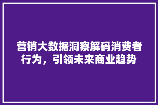 营销大数据洞察解码消费者行为，引领未来商业趋势  第1张