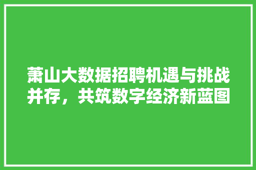 萧山大数据招聘机遇与挑战并存，共筑数字经济新蓝图