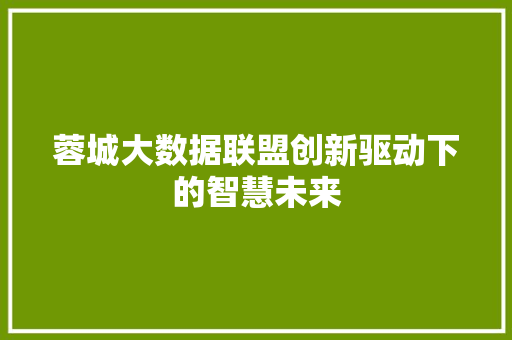 蓉城大数据联盟创新驱动下的智慧未来