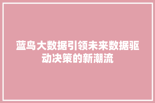 蓝鸟大数据引领未来数据驱动决策的新潮流  第1张