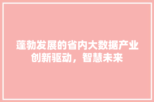 蓬勃发展的省内大数据产业创新驱动，智慧未来  第1张