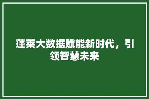 蓬莱大数据赋能新时代，引领智慧未来  第1张