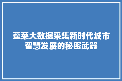 蓬莱大数据采集新时代城市智慧发展的秘密武器