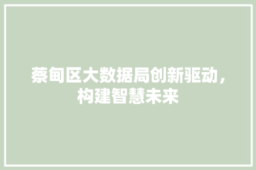 蔡甸区大数据局创新驱动，构建智慧未来  第1张