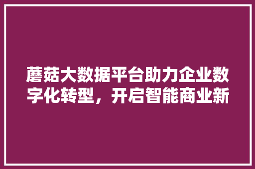 蘑菇大数据平台助力企业数字化转型，开启智能商业新时代