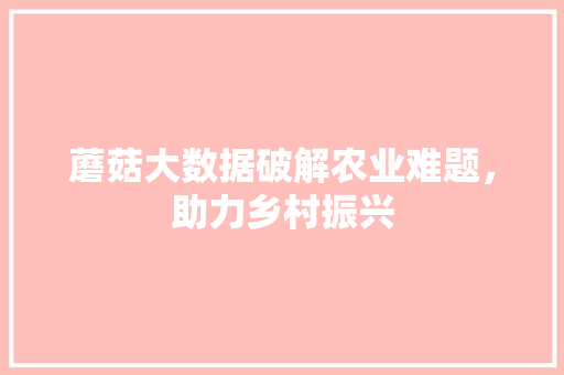 蘑菇大数据破解农业难题，助力乡村振兴  第1张