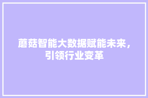 蘑菇智能大数据赋能未来，引领行业变革