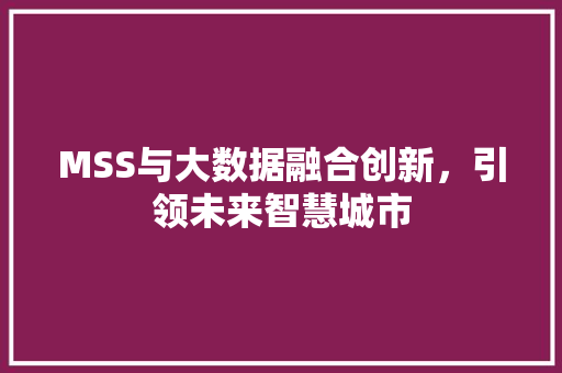 MSS与大数据融合创新，引领未来智慧城市