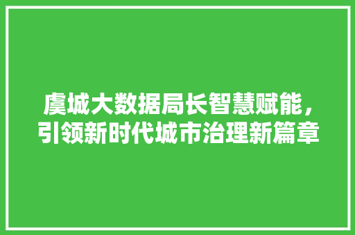 虞城大数据局长智慧赋能，引领新时代城市治理新篇章  第1张