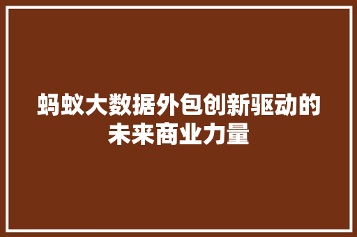 蚂蚁大数据外包创新驱动的未来商业力量  第1张