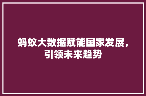 蚂蚁大数据赋能国家发展，引领未来趋势  第1张