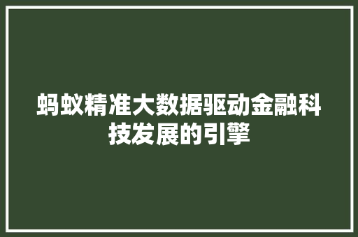 蚂蚁精准大数据驱动金融科技发展的引擎