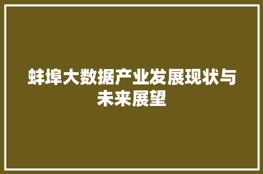 蚌埠大数据产业发展现状与未来展望