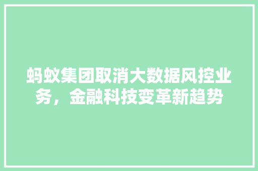 蚂蚁集团取消大数据风控业务，金融科技变革新趋势